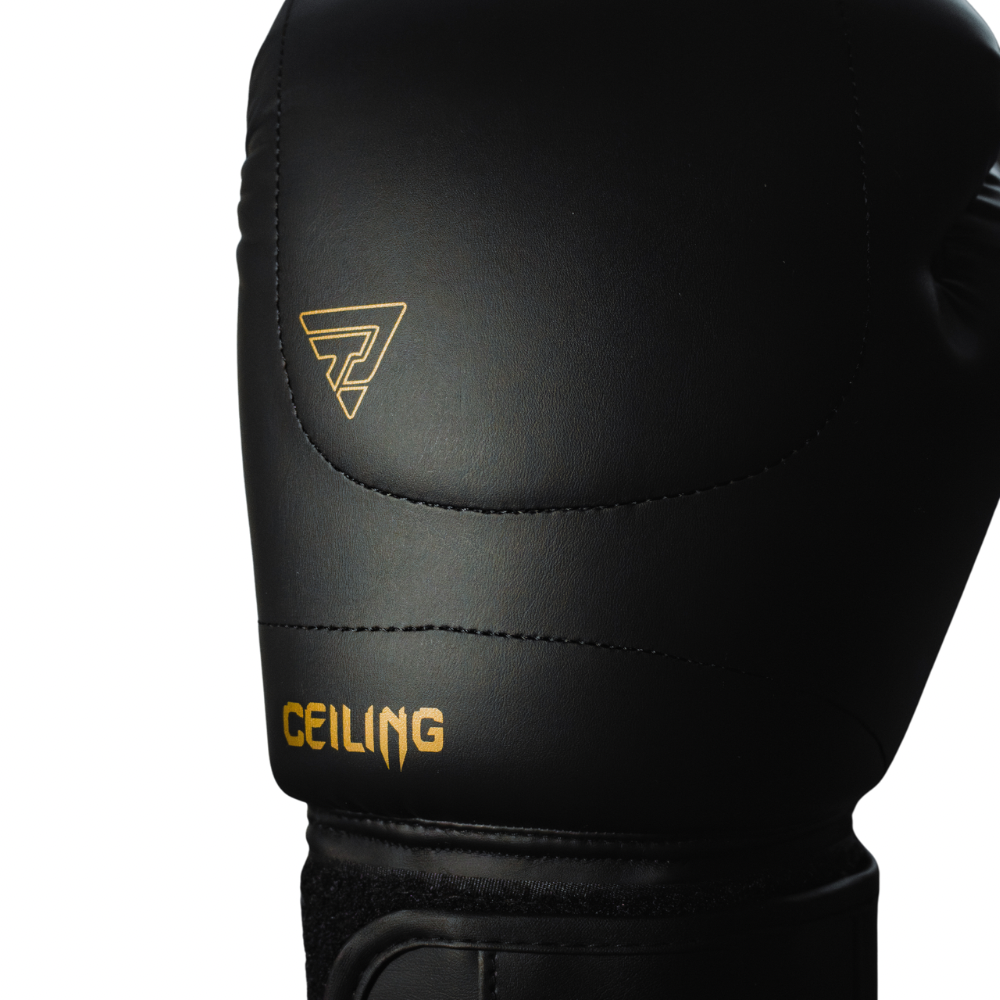 Guantes Boxeo Ceiling 2.0