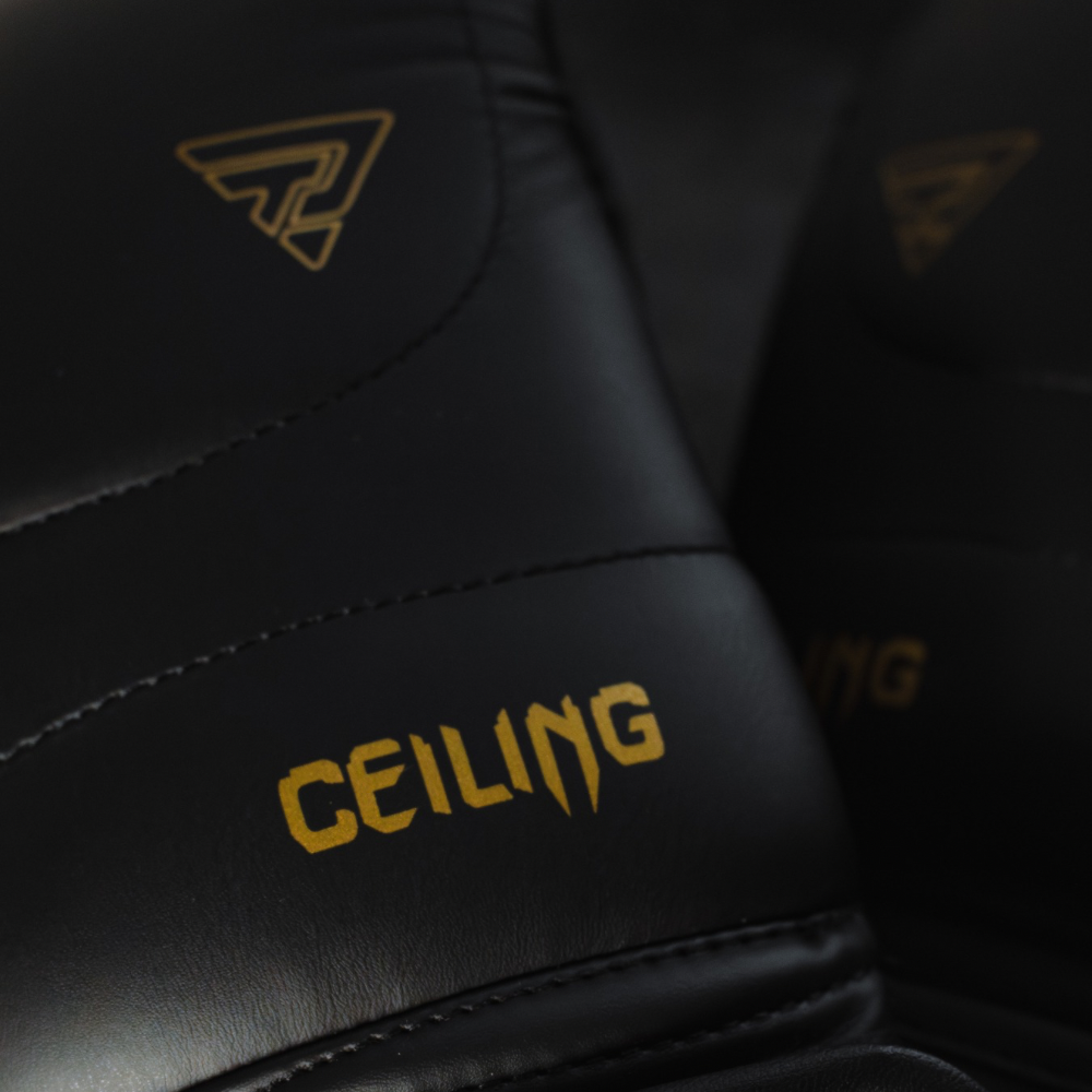 Guantes Boxeo Ceiling 2.0